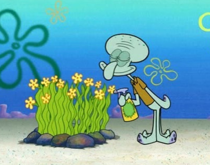 Kumpulan Kata-Kata Squidward Si Hobi Julid