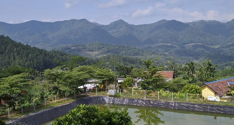 Pesona Objek Wisata Desa Seboro, Lakukan Banyak Hal Sekaligus