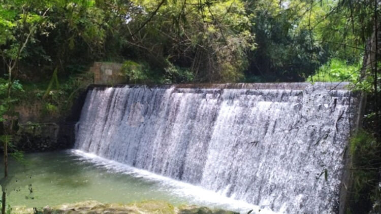 Mengenal Desa Wisata Alam Green Kayen di dekat Pusat Kota Yogyakarta