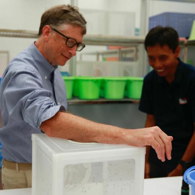 Bill Gates lepas nyamuk di Yogyakarta