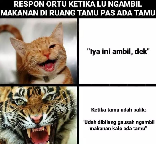 Meme kedatangan tamu