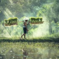 Meneladani Sikap Terpuji Para Petani yang Selalu Bersyukur dan Sabar