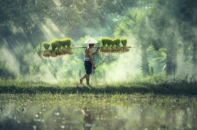 Meneladani Sikap Terpuji Para Petani yang Selalu Bersyukur dan Sabar