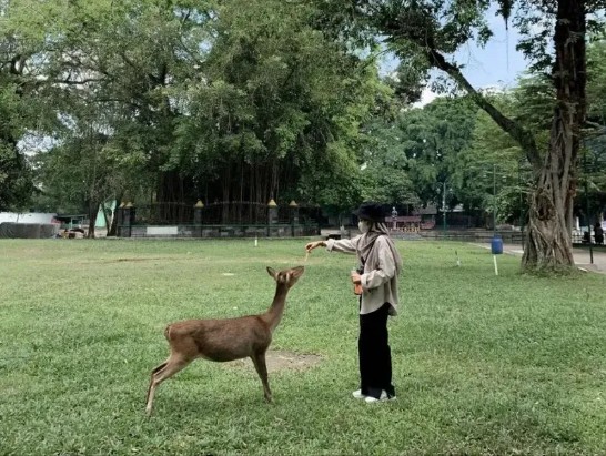 Taman Balekambang