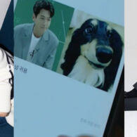 Anjing Jung Kyung Ho dan SNSD Sooyoung Cameo di Drama Crash Course Romance, Aksi Bucin Terdeteksi