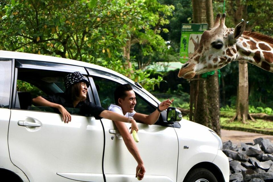 Taman safari Indonesia II Prigen