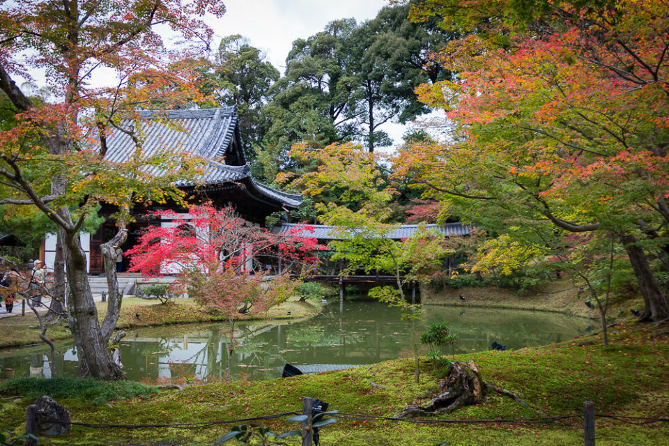 Kuil Kodai-Ji di Jepang