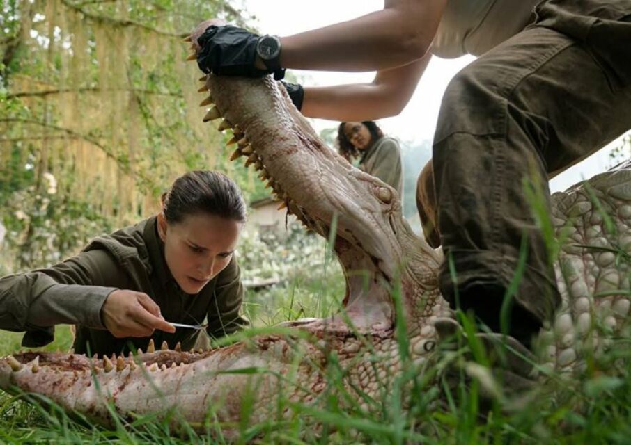 Annihilation (2018) | Credit: IMDb