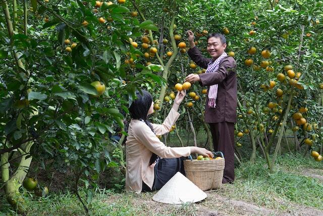 Foto oleh Tran Le Tuan dari Pexels