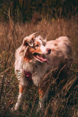 Photo by Mathieu Gervais on Pexels