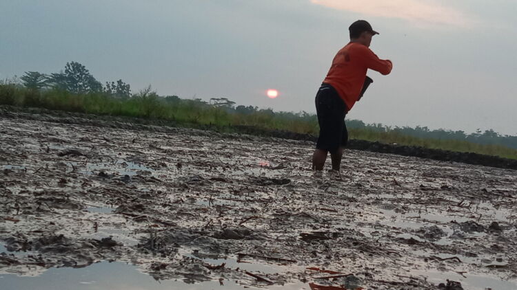 Seorang Petani Tulang Punggung Keluarga dan Pendidikan