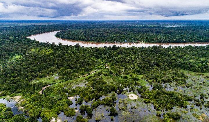 Pembangunan Kanal PT MPK Yang Merusak Ekosistem Gambut Sungai Putri