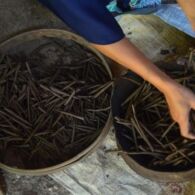 Kuliner Unik Khas Tuban Berbahan Tanah Liat