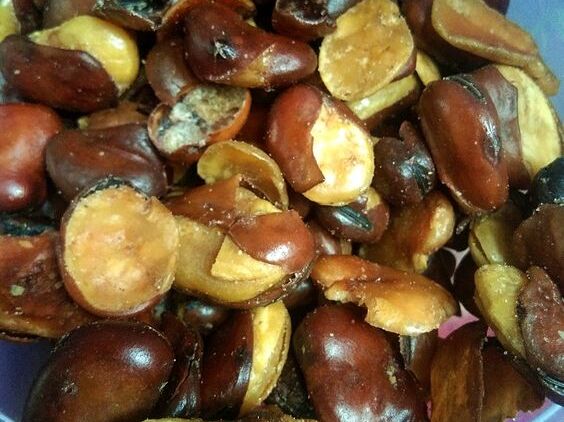 Produksi Hidrolisat Protein Kacang Koro Benguk dengan Aktivitas Penghambat Kerja Enzim Pengkonversi Angiotensin Melalui Kombinasi Fermentasi dan Hidrolisis Enzimatik