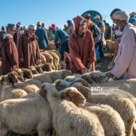 5 Tradisi Unik yang dilakukan di Beberapa Negara Saat Hari Raya Idul Adha