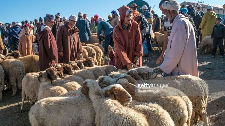 5 Tradisi Unik yang dilakukan di Beberapa Negara Saat Hari Raya Idul Adha