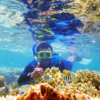 Keindahan Gonda Mangrove Park di Sulawesi Barat