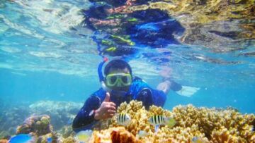 Keindahan Gonda Mangrove Park di Sulawesi Barat