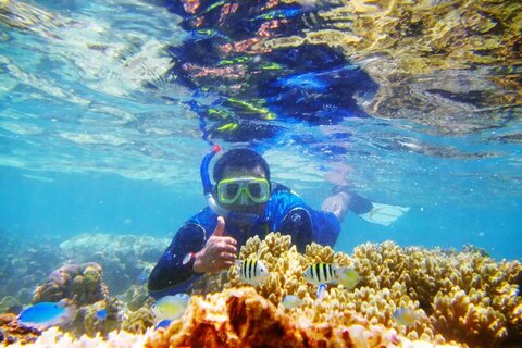 Keindahan Gonda Mangrove Park di Sulawesi Barat