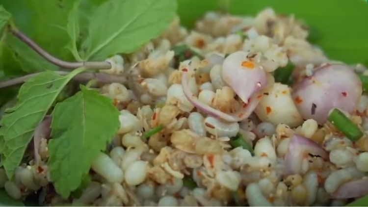 hipwee-makanan ekstrim di Thailand - Telur semut mentah