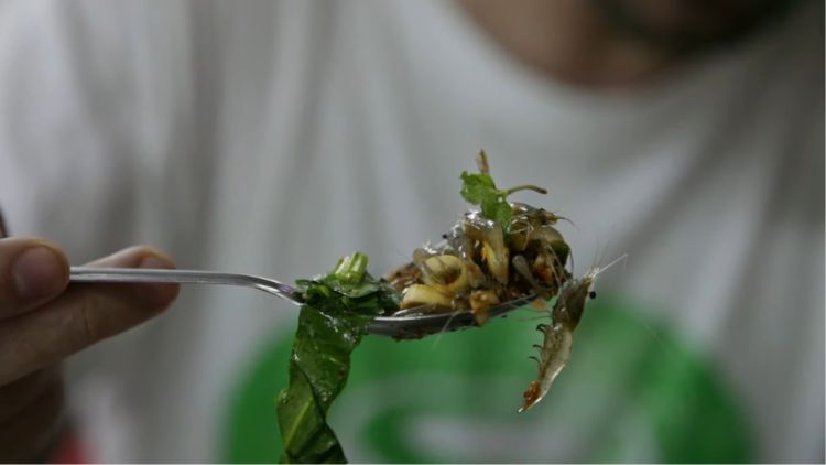 hipwee-makanan ekstrim di Thailand - udang menari