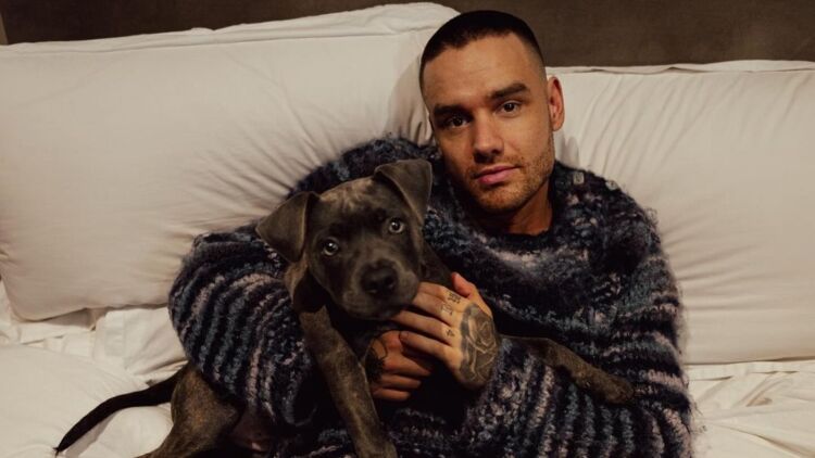 Liam Payne Personel One Direction Meninggal Dunia Usai Jatuh dari Balkon Lantai 3 Hotel