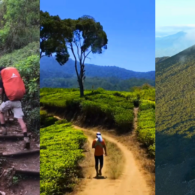 7 Gunung Tertinggi di Jawa Barat, dari Ciremai ke Pangrango