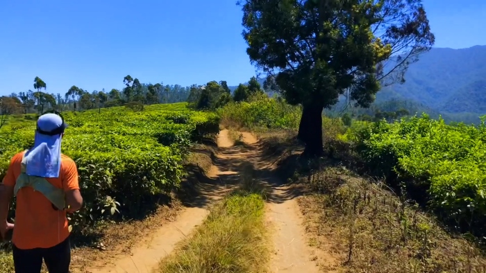 7 Gunung Tertinggi di Jawa Barat, dari Ciremai ke Pangrango