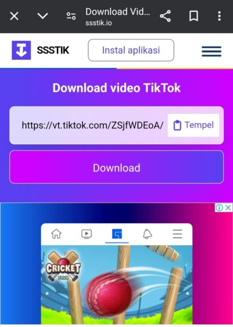 Begini Cara Download Video di TikTok dan Twitter dalam Sekejap, Tanpa Ribet!