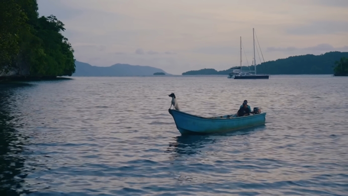 Wisata Raja Ampat yang Memukau Dengan Keindahan Biota Laut yang Kaya