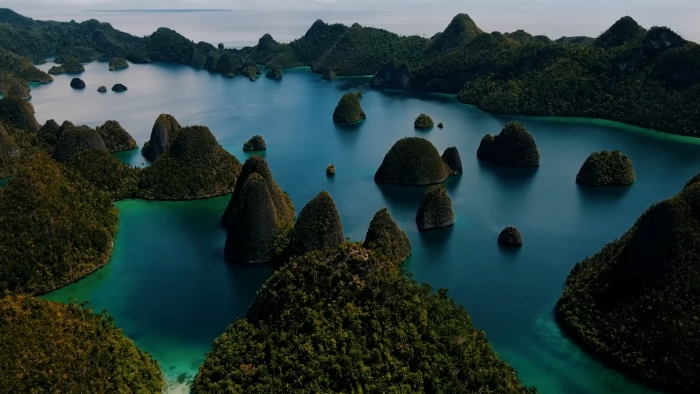 Wisata Raja Ampat yang Memukau Dengan Keindahan Biota Laut yang Kaya