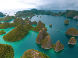 Wisata Raja Ampat yang Memukau Dengan Keindahan Biota Laut yang Kaya