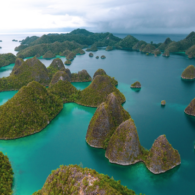 Wisata Raja Ampat yang Memukau Dengan Keindahan Biota Laut yang Kaya