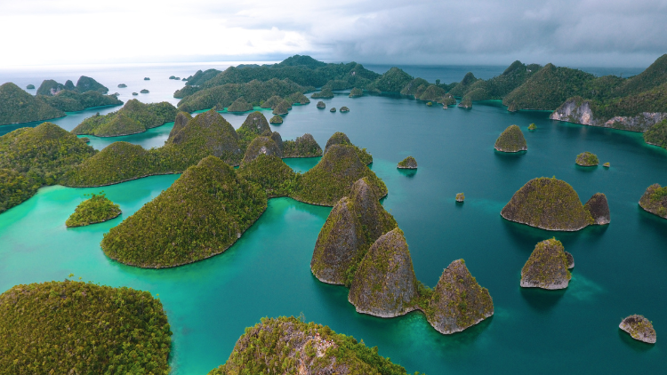 Wisata Raja Ampat yang Memukau Dengan Keindahan Biota Laut yang Kaya