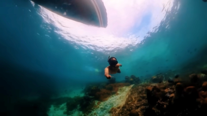 Wisata Raja Ampat yang Memukau Dengan Keindahan Biota Laut yang Kaya