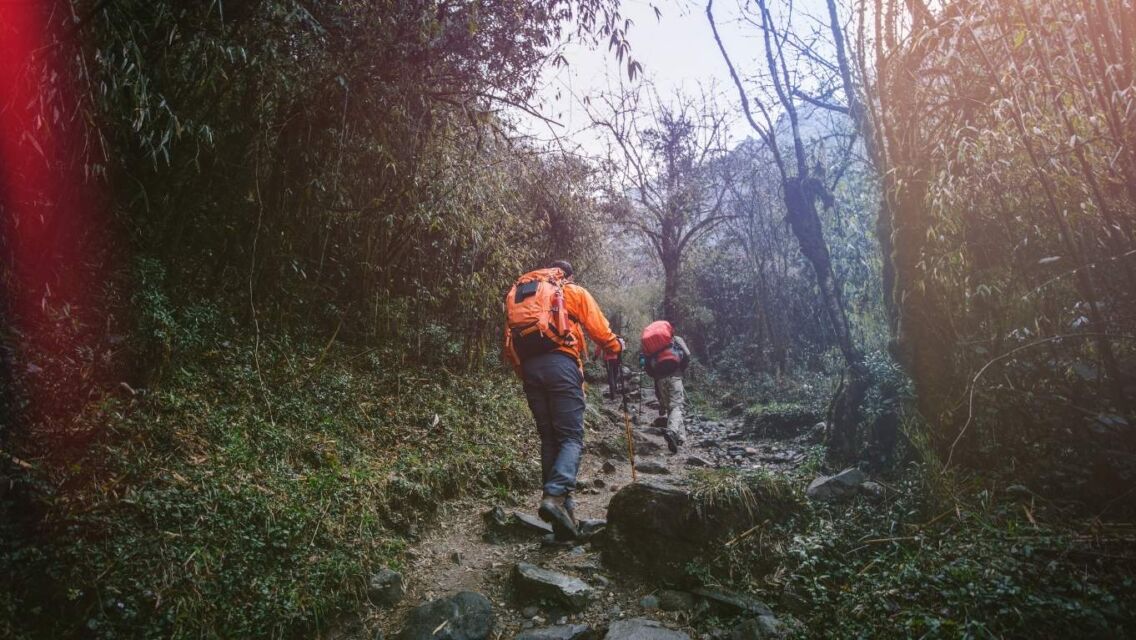 Panduan Lengkap Trekking di Nepal: Semua Hal yang Wajib Kamu Ketahui Sebelum Berangkat!