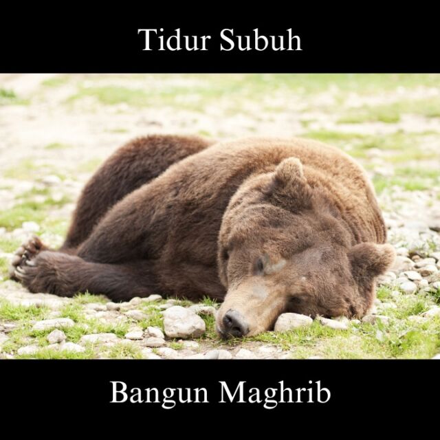 Meme Sahur Lucu dari yang Legend sampai yang Fresh, Kamu Juga Gini Enggak?