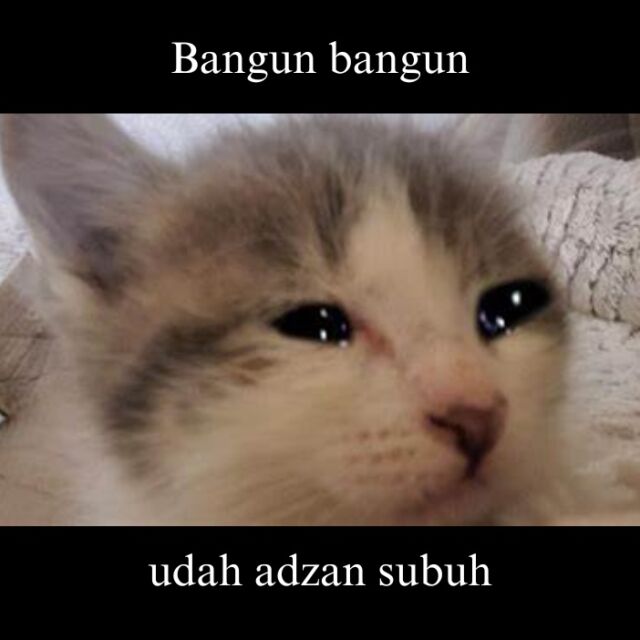 Meme Sahur Lucu dari yang Legend sampai yang Fresh, Kamu Juga Gini Enggak?